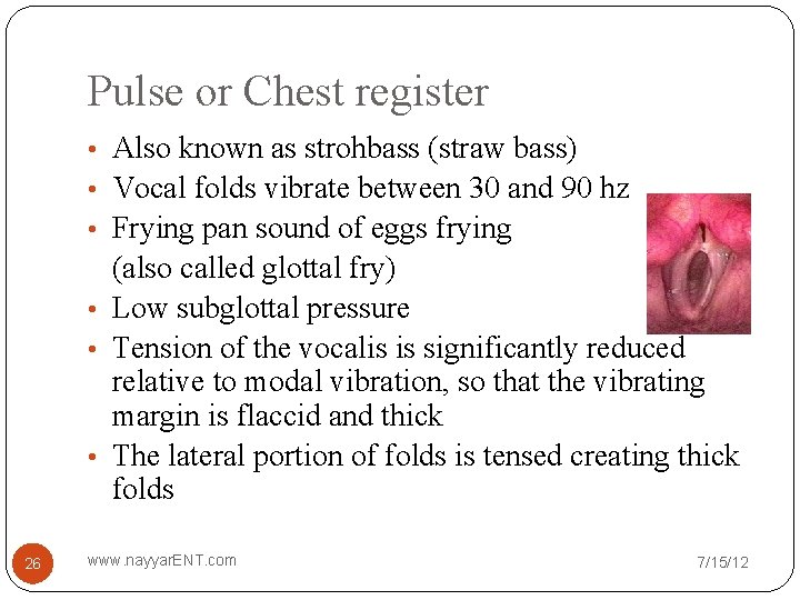 Pulse or Chest register • Also known as strohbass (straw bass) • Vocal folds