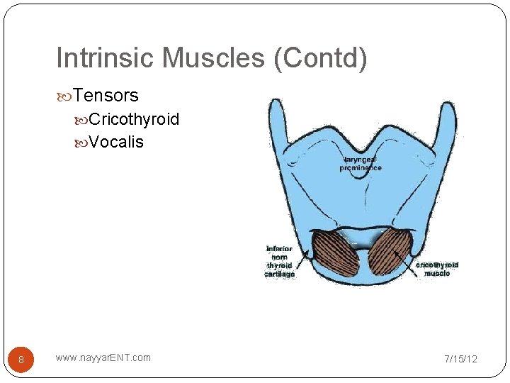 Intrinsic Muscles (Contd) Tensors Cricothyroid Vocalis 8 www. nayyar. ENT. com 7/15/12 