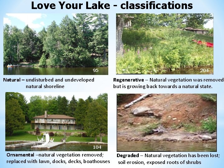 Love Your Lake - classifications 95 Natural – undisturbed and undeveloped natural shoreline 204