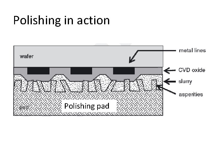 Polishing in action Polishing pad 