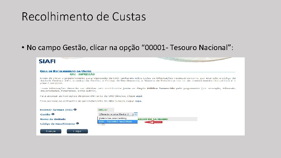 Recolhimento de Custas • No campo Gestão, clicar na opção “ 00001 - Tesouro