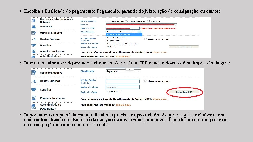  • Escolha a finalidade do pagamento: Pagamento, garantia do juízo, ação de consignação