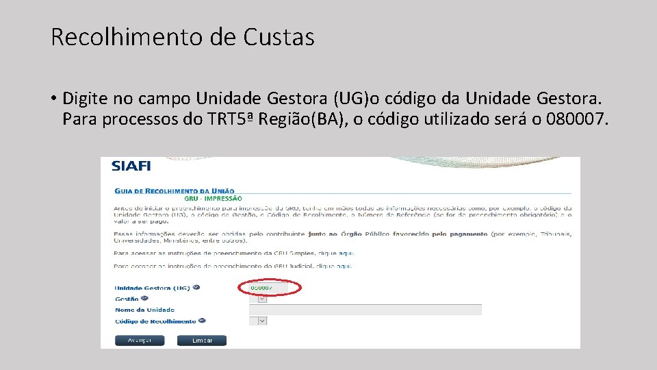 Recolhimento de Custas • Digite no campo Unidade Gestora (UG)o código da Unidade Gestora.