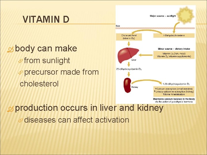 VITAMIN D body can make from sunlight precursor made from cholesterol production diseases occurs