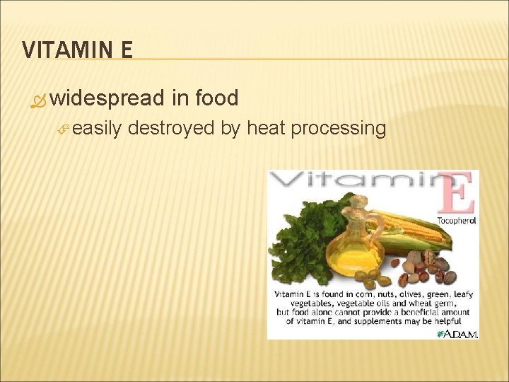 VITAMIN E widespread easily in food destroyed by heat processing 