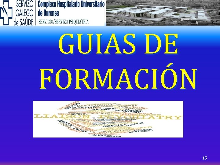 GUIAS DE FORMACIÓN 15 