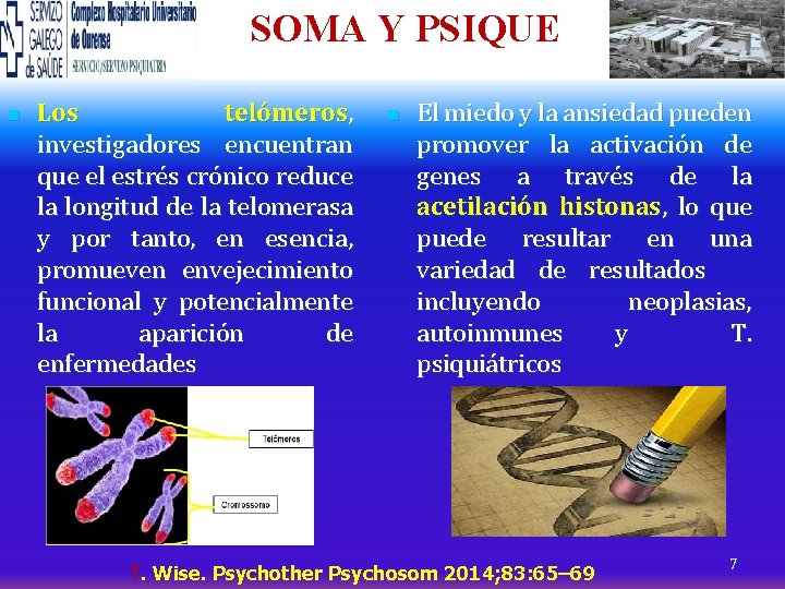  SOMA n Los telómeros, investigadores encuentran que el estrés crónico reduce la longitud