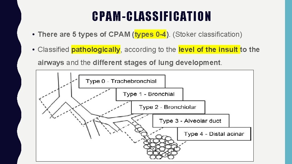 CPAM-CLASSIFICATION • There are 5 types of CPAM (types 0 -4). (Stoker classification) •