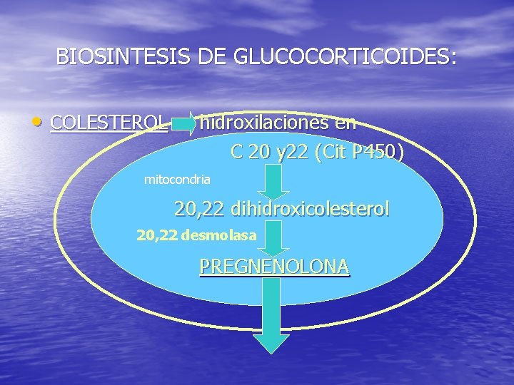 BIOSINTESIS DE GLUCOCORTICOIDES: • COLESTEROL hidroxilaciones en C 20 y 22 (Cit P 450)