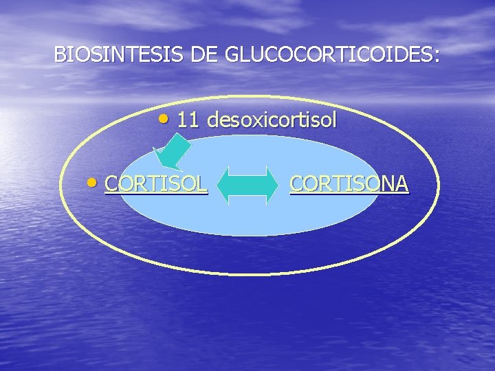 BIOSINTESIS DE GLUCOCORTICOIDES: • 11 desoxicortisol • CORTISOL CORTISONA 