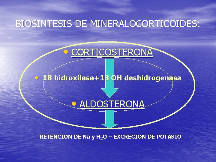 BIOSINTESIS DE MINERALOCORTICOIDES: • CORTICOSTERONA • 18 hidroxilasa+18 OH deshidrogenasa • ALDOSTERONA RETENCION DE