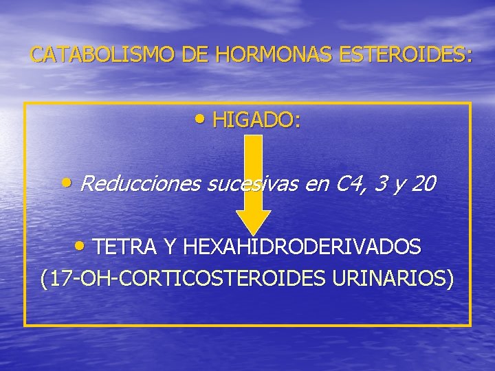 CATABOLISMO DE HORMONAS ESTEROIDES: • HIGADO: • Reducciones sucesivas en C 4, 3 y