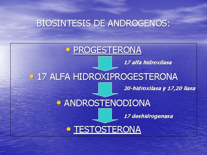 BIOSINTESIS DE ANDROGENOS: • PROGESTERONA 17 alfa hidroxilasa • 17 ALFA HIDROXIPROGESTERONA 20 -hidroxilasa