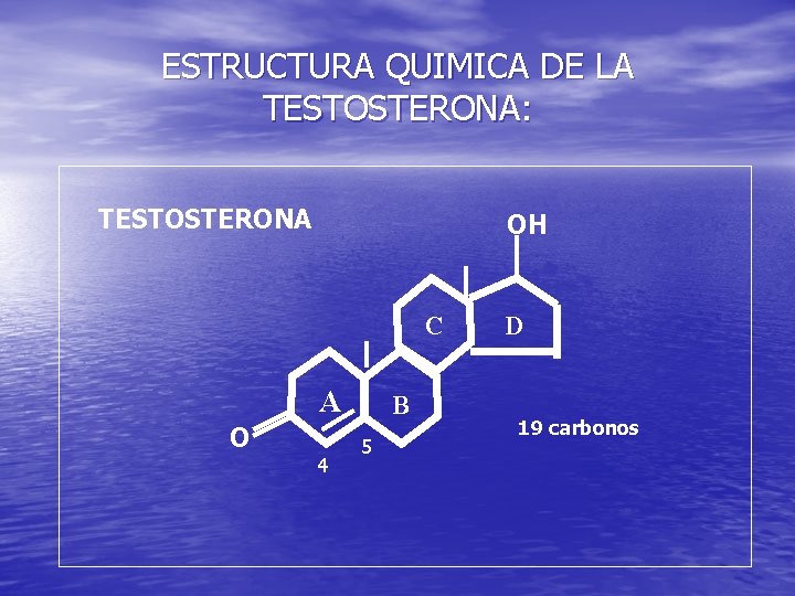 ESTRUCTURA QUIMICA DE LA TESTOSTERONA: TESTOSTERONA OH C A O 4 B 5 D