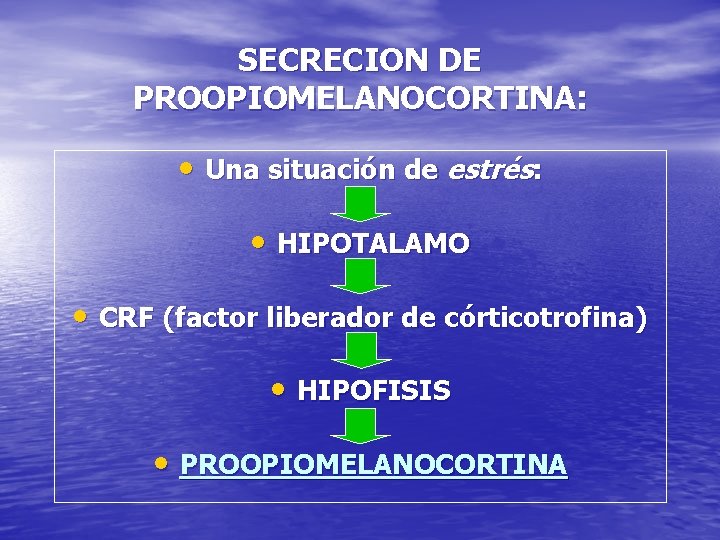 SECRECION DE PROOPIOMELANOCORTINA: • Una situación de estrés: • HIPOTALAMO • CRF (factor liberador