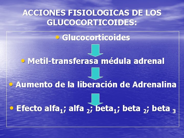 ACCIONES FISIOLOGICAS DE LOS GLUCOCORTICOIDES: • Glucocorticoides • Metil-transferasa médula adrenal • Aumento de