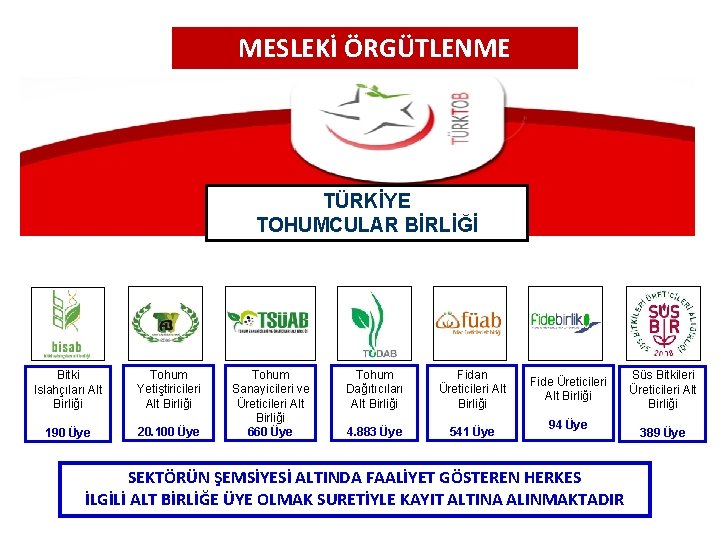 MESLEKİ ÖRGÜTLENME TÜRKİYE TOHUMCULAR BİRLİĞİ Bitki Islahçıları Alt Birliği Tohum Yetiştiricileri Alt Birliği 190