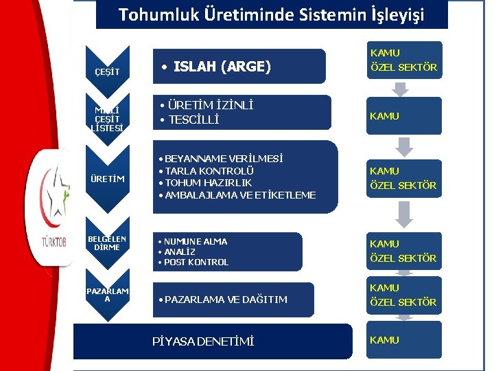 Tohumluk Üretiminde Sistemin İşleyişi ÇEŞİT MİLLİ ÇEŞİT LİSTESİ ÜRETİM BELGELEN DİRME PAZARLAM A •