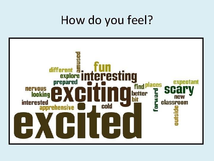 How do you feel? 