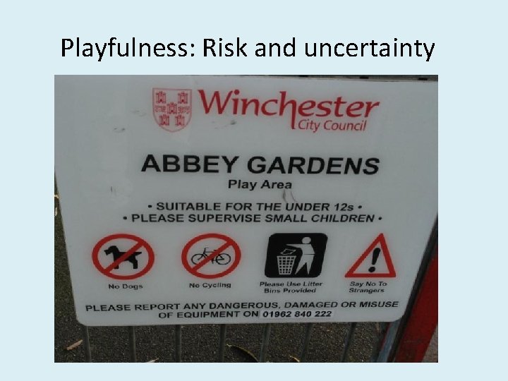 Playfulness: Risk and uncertainty 