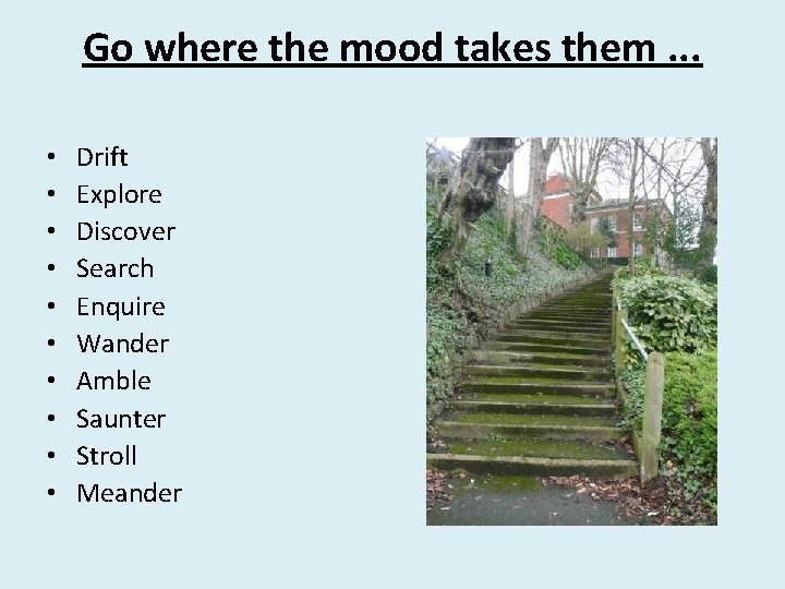 Go where the mood takes them. . . • • • Drift Explore Discover