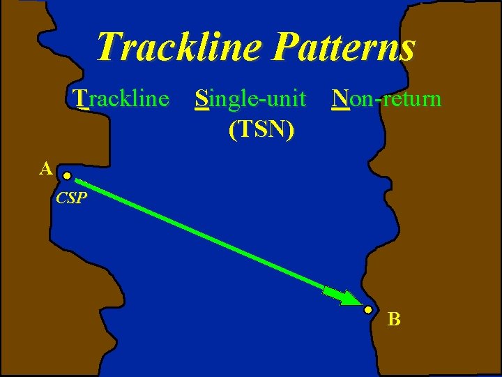 Trackline Patterns Trackline Single-unit Non-return (TSN) A CSP B Trackline Patterns Trackline Single-unit Non-return (TSN) A CSP B