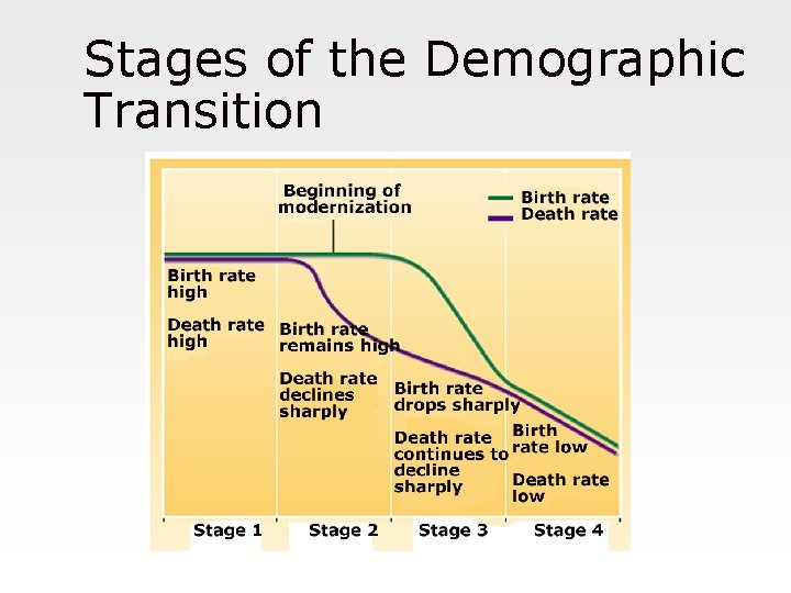 Stages of the Demographic Transition 
