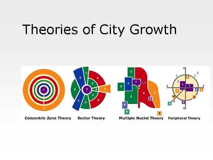 Theories of City Growth 