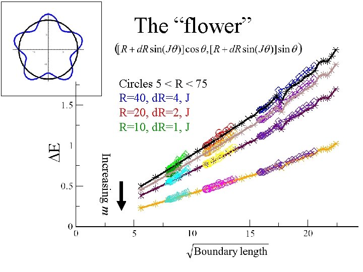 The “flower” Increasing m DE Circles 5 < R < 75 R=40, d. R=4,