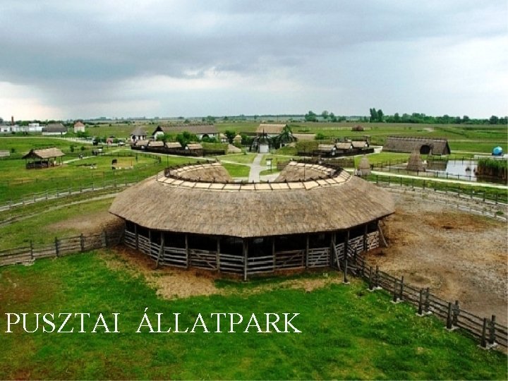 PUSZTAI ÁLLATPARK eszem 