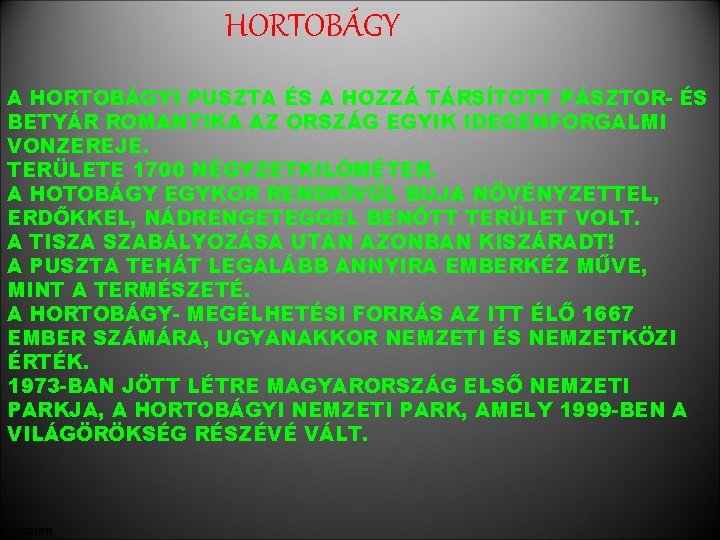 HORTOBÁGY A HORTOBÁGYI PUSZTA ÉS A HOZZÁ TÁRSÍTOTT PÁSZTOR- ÉS BETYÁR ROMANTIKA AZ ORSZÁG