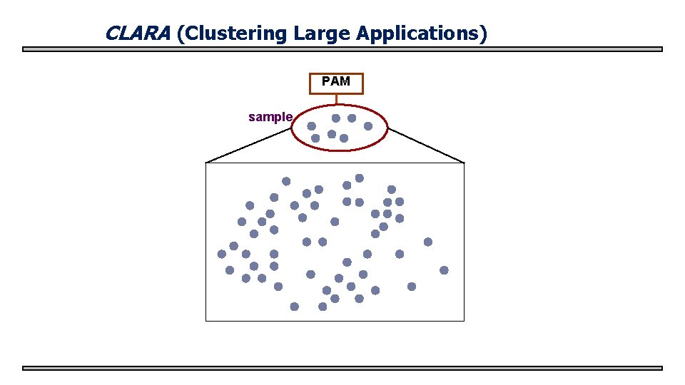 CLARA (Clustering Large Applications) PAM sample 