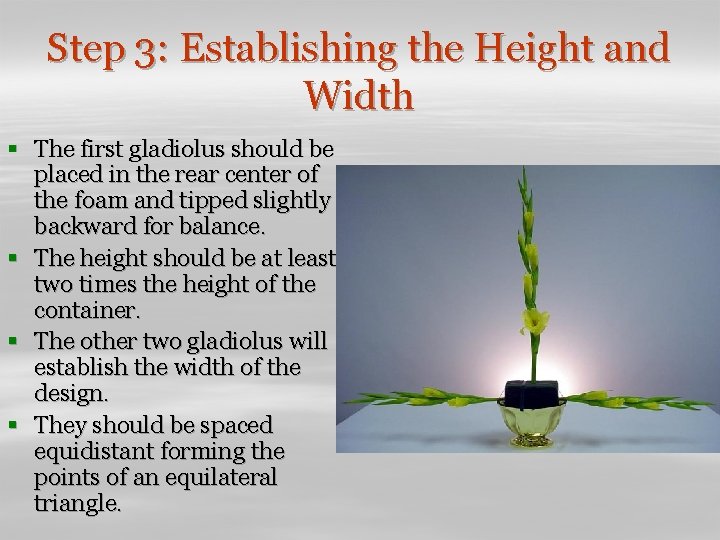 Step 3: Establishing the Height and Width § The first gladiolus should be placed