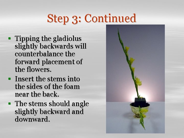 Step 3: Continued § Tipping the gladiolus slightly backwards will counterbalance the forward placement