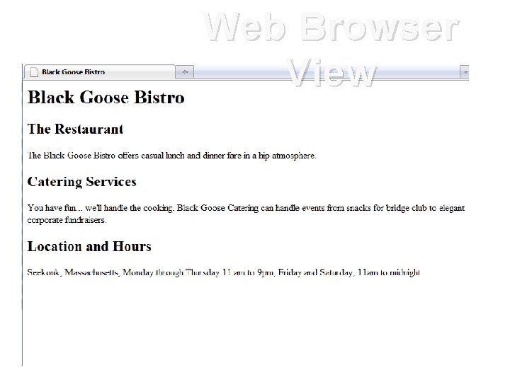 Web Browser View 