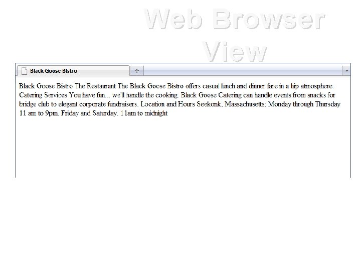 Web Browser View 