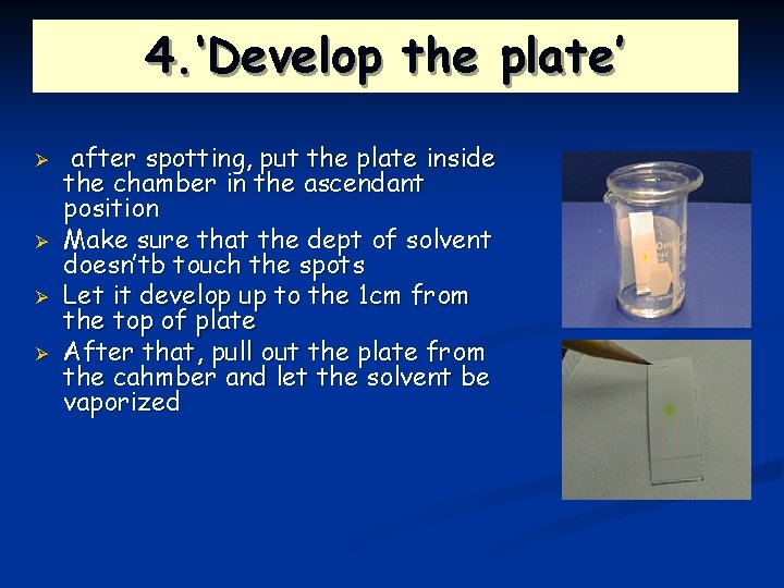 4. ‘Develop the plate’ Ø Ø after spotting, put the plate inside the chamber