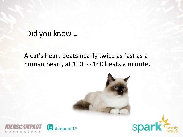 Did you know … A cat’s heart beats nearly twice as fast as a