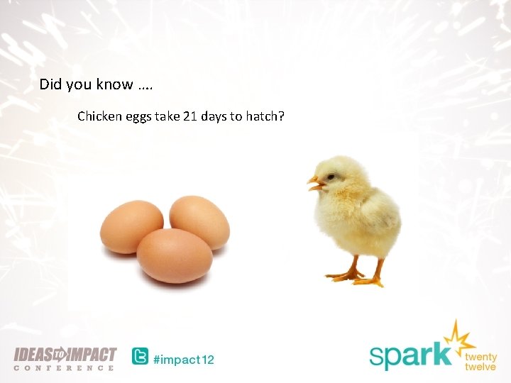 Did you know …. Chicken eggs take 21 days to hatch? 