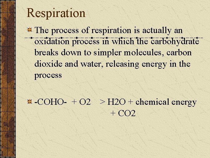 Respiration The process of respiration is actually an oxidation process in which the carbohydrate