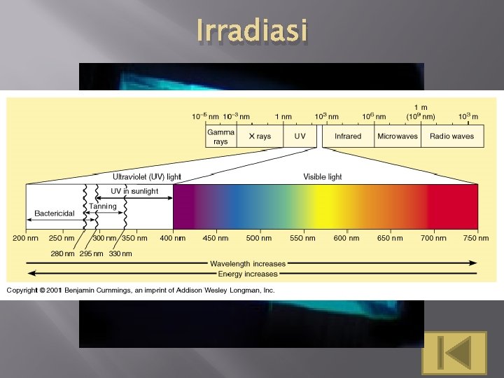 Irradiasi 