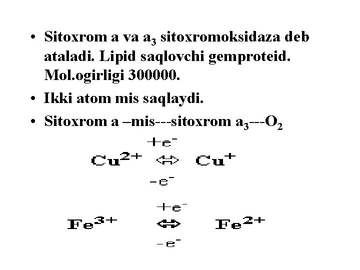  • Sitoxrom a va a 3 sitoxromoksidaza deb ataladi. Lipid saqlovchi gemproteid. Mol.