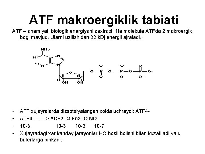  ATF makroergiklik tabiati ATF – ahamiyati biologik energiyani zaxirasi. 1 ta molekula ATFda