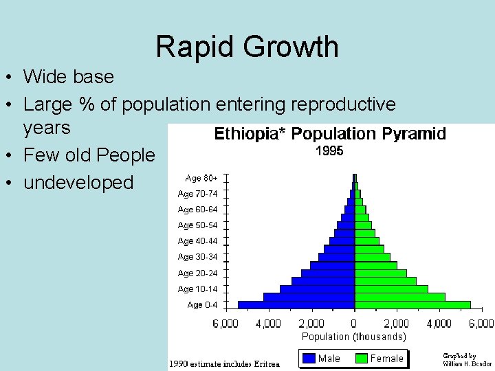 Rapid Growth • Wide base • Large % of population entering reproductive years •