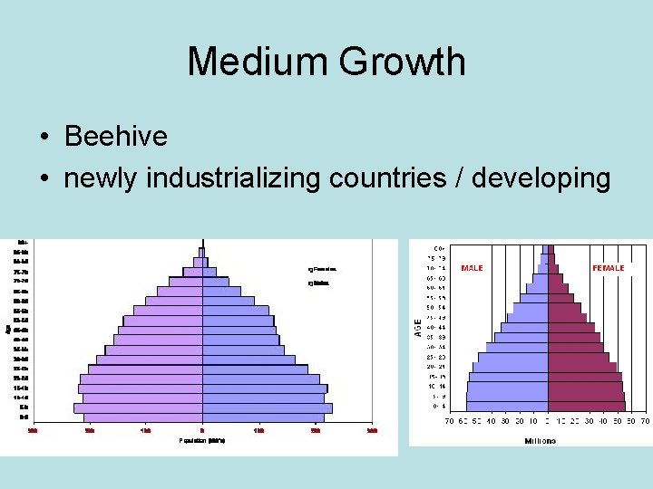 Medium Growth • Beehive • newly industrializing countries / developing 