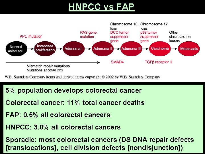 HNPCC vs FAP 5% population develops colorectal cancer Colorectal cancer: 11% total cancer deaths