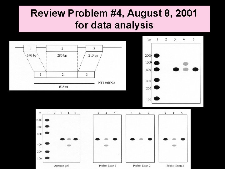 Review Problem #4, August 8, 2001 for data analysis 