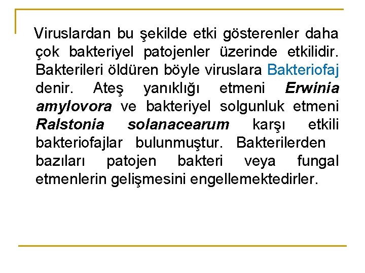 Viruslardan bu şekilde etki gösterenler daha çok bakteriyel patojenler üzerinde etkilidir. Bakterileri öldüren böyle