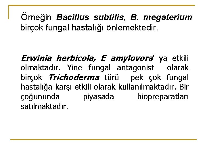 Örneğin Bacillus subtilis, B. megaterium birçok fungal hastalığı önlemektedir. Erwinia herbicola, E amylovora’ ya