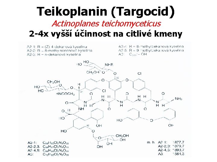 Teikoplanin (Targocid) Actinoplanes teichomyceticus 2 -4 x vyšší účinnost na citlivé kmeny 